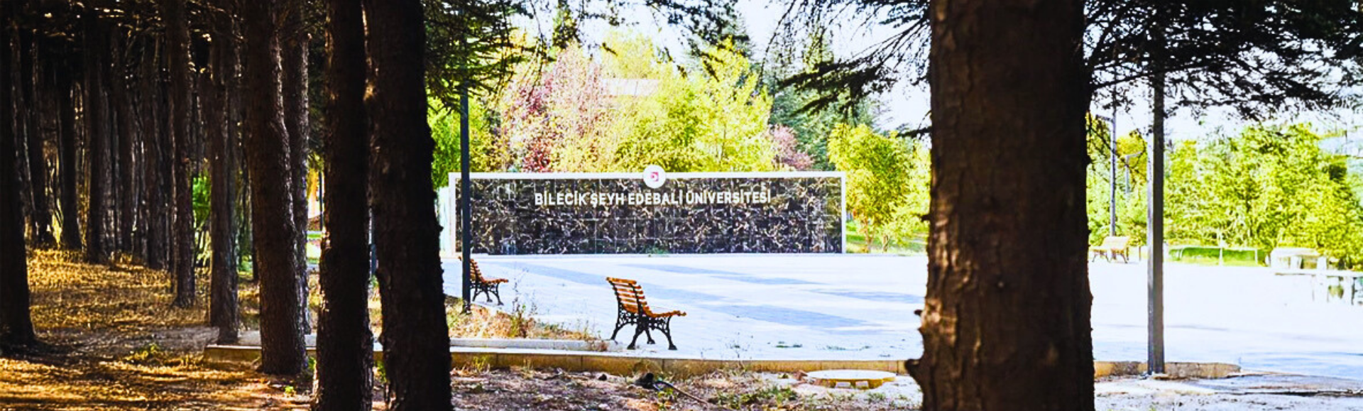 surgu fotoğraf 5541